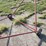 24’x8”-transport-auger-image-4