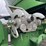 2010-john-deere-2010-image-22