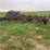 massey-ferguson-126-image-7