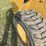 2019-caterpillar-262d3-image-18