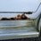 2000-dodge-ram-van-image-12