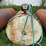 1000-gallon-fuel-barrel-image-2