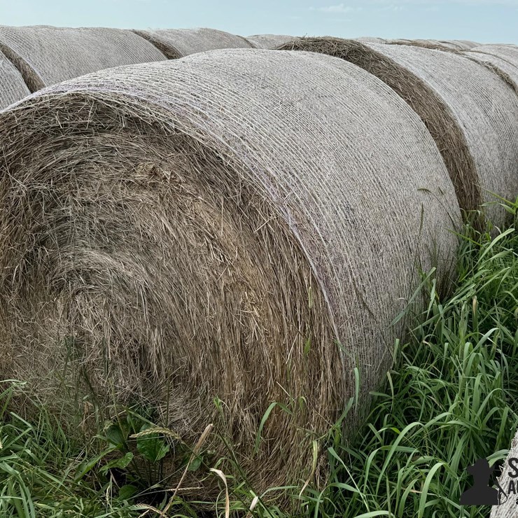 2024 Mixed Grass Hay Round Bales (BID PER UNIT)