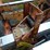 wood-mizer-lt40-image-30