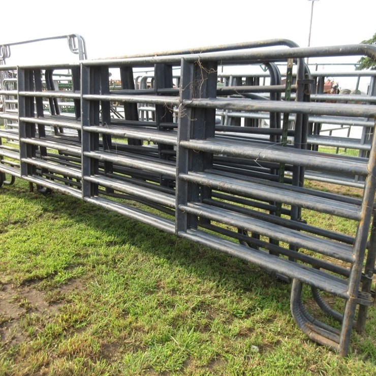 (4) 16' Tarter Pipe Gates