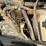 2011-jcb-541-70-image-21
