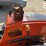 allis-chalmers-5020-image-11
