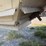 wilson-hopper-bottom-image-19