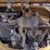 2014-caterpillar-303.5e-cr-image-43