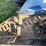 leyland-384-image-41