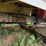 1987-peterbilt-359-image-29