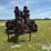 2011-case-ih-1250-image-2
