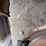 2017-liebherr-l586-image-16