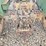 deutz-d5506-image-46