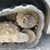 2019-takeuchi-tl8-image-24