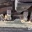 2014-caterpillar-950m-image-68