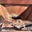 doyle-vertical-blender-(gp10970-&-gp10971)-image-17