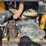2018-jcb-3ts-8t-image-11