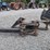 labounty-mws40-stump-puller-image-1