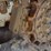 2019-bobcat-t595-image-20