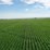 283-acres-of-franklin-county-real-estate-image-11