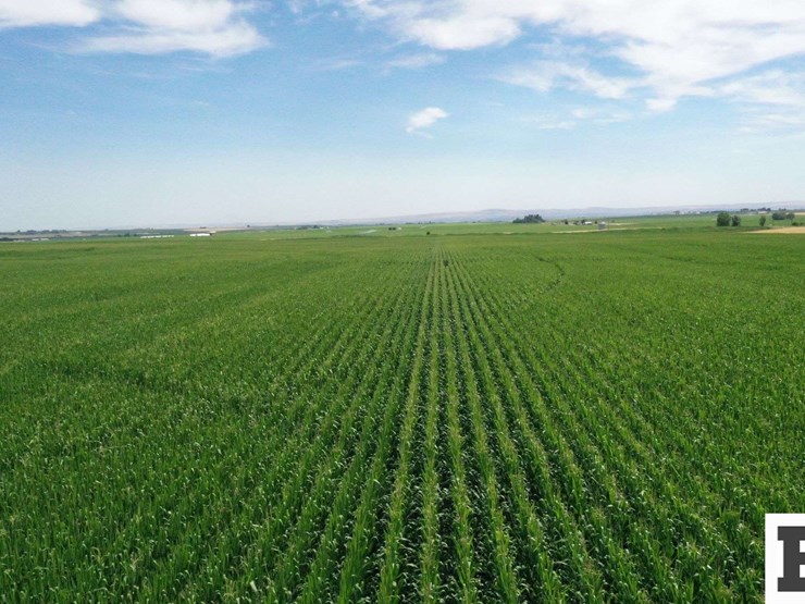 283-acres-of-franklin-county-real-estate-image-11