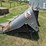 gleaner-f3-image-46