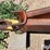1981-versatile-noble-9600-9x6-sweep-blade-plow-image-9