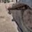 bobcat-t250-image-22