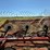 hesston-3983-image-15