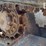 2019-bobcat-t595-image-28