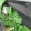 2021-john-deere-8r-230-image-11