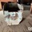 speedway-weigh-buggy-(dr11916)-image-2