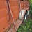 6ft-x-16ft-gooseneck-livestock-trailer-image-22