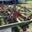 glencoe-soil-saver-image-14