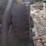 komatsu-wa250pt-5-image-22