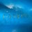 2000-new-holland-9384-image-54