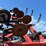 case-ih-5300-image-20