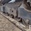 2018-bobcat-t590-image-23