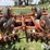 kewanee-1020-image-18