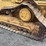 caterpillar-d5m-image-13