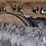 2012-caterpillar-336el-image-36