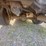 2003-chevrolet-trailblazer-image-9