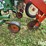glencoe-8r30-row-crop-cultivator-image-19