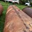1000-gallon-fuel-barrel-image-12