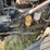 1998-freightliner-fl70-image-13