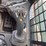 2018-bobcat-t770-image-16