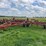 case-ih-5600-image-4