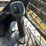 2019-deere-330g-image-26