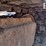 2013-hitachi-zx50u-5n-image-34
